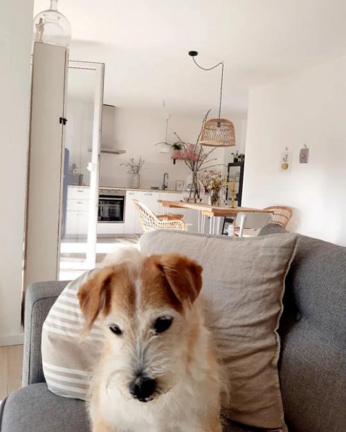 Обьединенная кухня - гостиная в белом скандинавском таунхаусе. 08