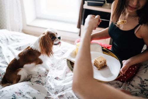 Стоит ли проводить фотосъемку у себя дома? 03