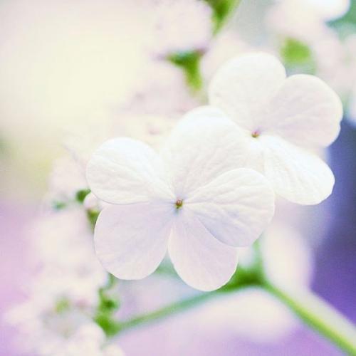 Весна уже к тебе стучится. 01