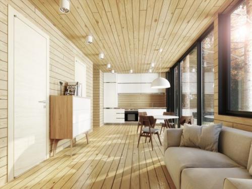 Дом - ковчег от арх - проект - 3. 06