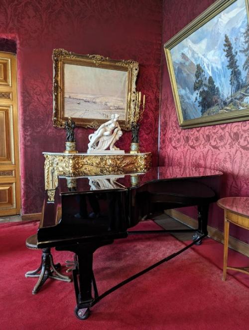 Перед сном предлагаю полюбоваться одной из трех анфиладных гостиных владимирского дворца - малиновой. 04