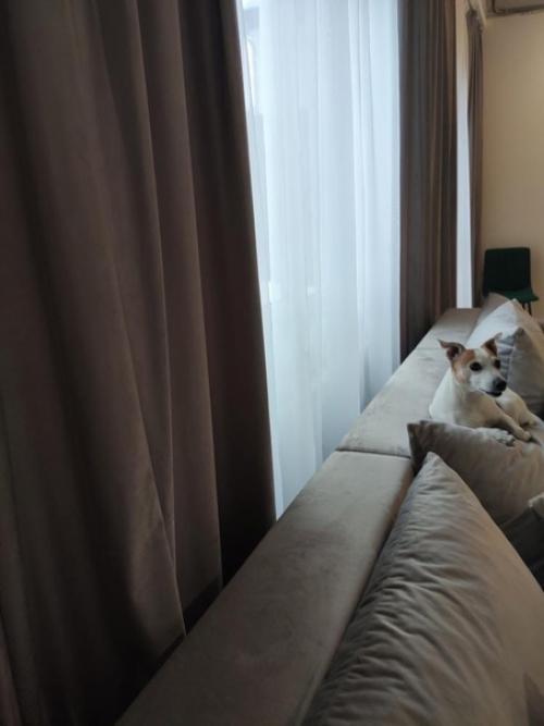 Серого много не бывает. 03