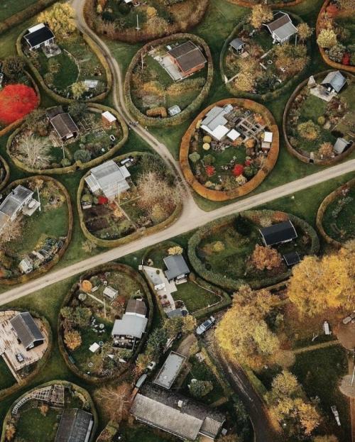 В Дании есть улица, где каждый дом словно спрятан в зелёном кольце. 01