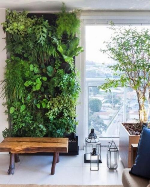 Кто о зелёной стене мечтает? 02