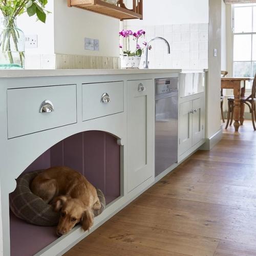 Как выбрать квартиру, если у вас есть дети и животные? 02