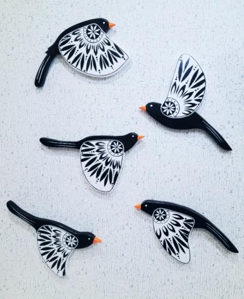 Эти птички настолько ручные, что отказываются лететь на улицу! 03