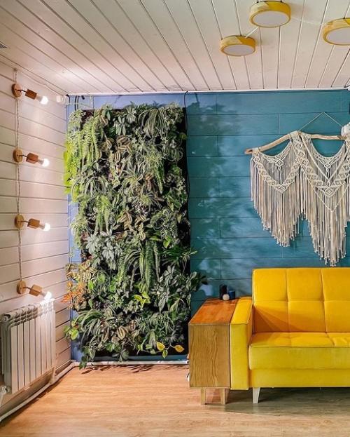 Кто о зелёной стене мечтает? 01