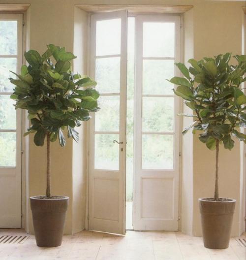 Как сделать дом уютным: 12 способов, о которых вы должны знать. 05