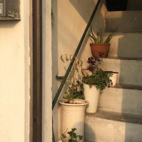 Mini_au_Omegavers@Vkookshouse. 06