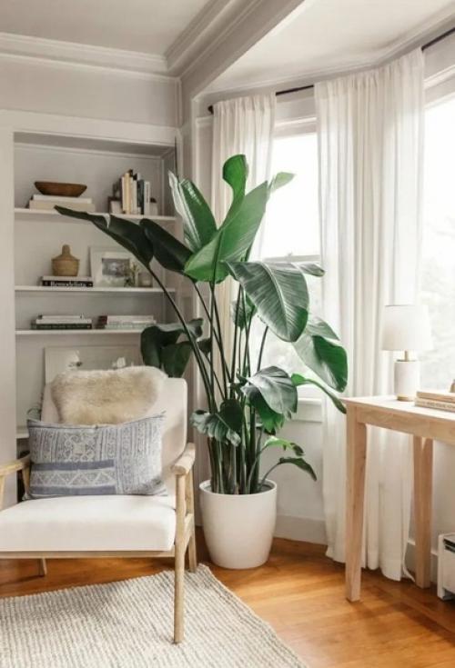 Живые цветы - это не только красивый, но и полезный элемент интерьера. 04