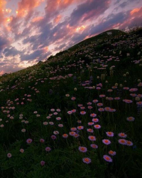 Планы на весну: 20 идей? 01