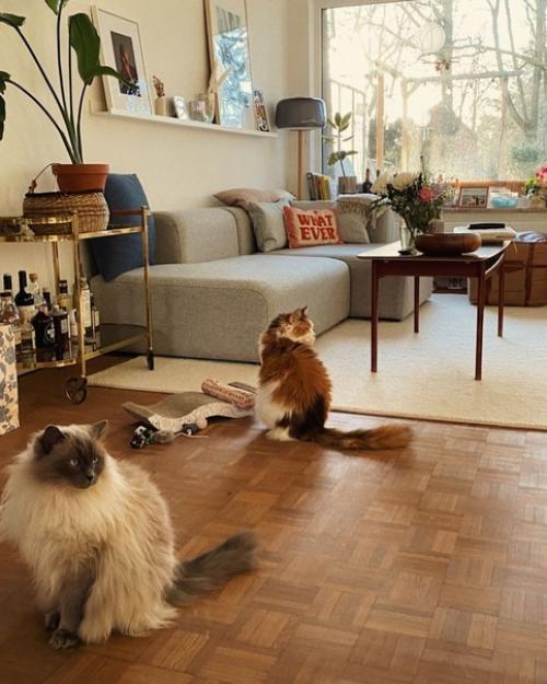 Войдите в эту уютную квартиру, где винтажная мебель и стены теплого белого оттенка создают теплую и уютную атмосферу. 06