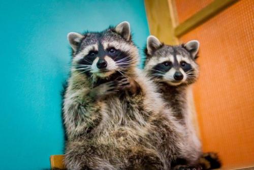 Лучшие детские места в Москве. 01