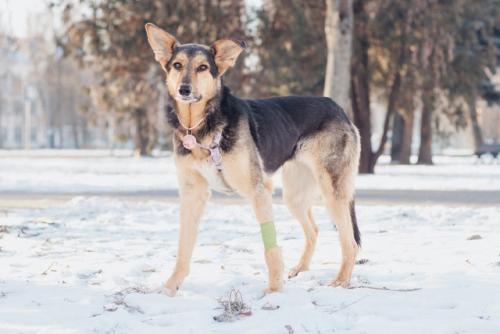 Москва и мо. 04 Москва и мо. 04