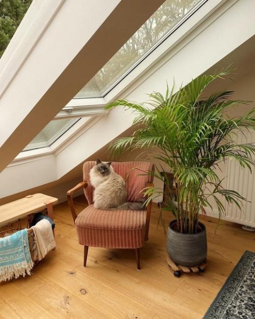 Войдите в эту уютную квартиру, где винтажная мебель и стены теплого белого оттенка создают теплую и уютную атмосферу. 04