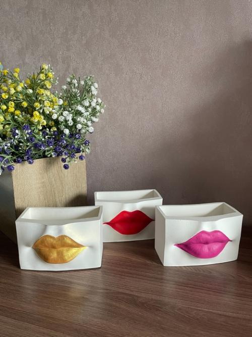 Кашпо Губытеперь с новыми макияжем губ. 03