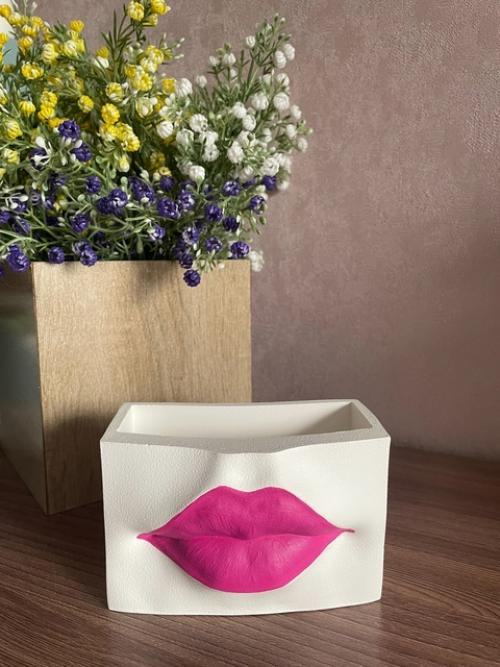 Кашпо Губытеперь с новыми макияжем губ. 01