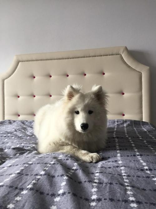 Как хорошо дома. 02