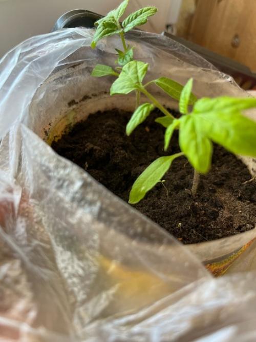 Делов - то, знаешь, сколько с этим домом! 01