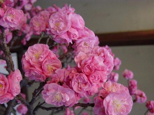 4 мая, начало в 19: 00. 02 4 мая, начало в 19: 00. 02