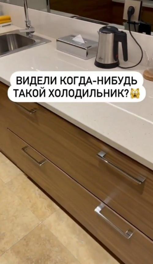 Такого, вы точно никогда не видели: скрытый холодильник в гарнитуре. 04