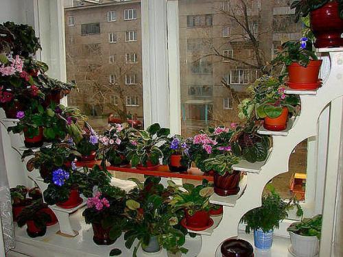 Этажерка для цветов: дом для растений и украшение для интерьера. 08