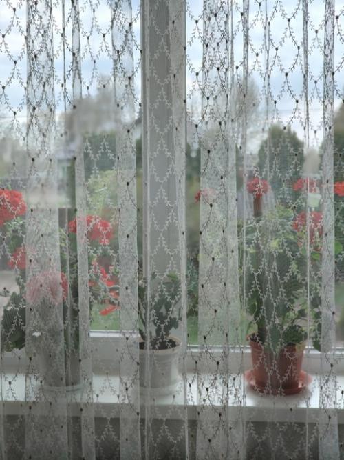 Домашний пост.  Мои комнатные цветы и вышивка в интерьере. 04