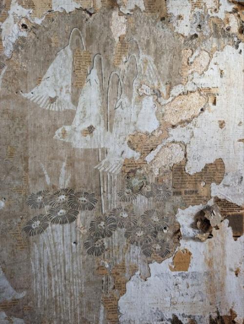 В доме кустаря в Кимрах обнаружили уникальные обои ручной работы. 02