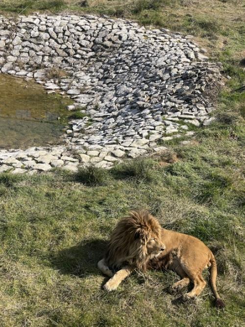 Один из любимых и нетрадиционных маршрутов по абхазии. 03 Один из любимых и нетрадиционных маршрутов по абхазии. 03