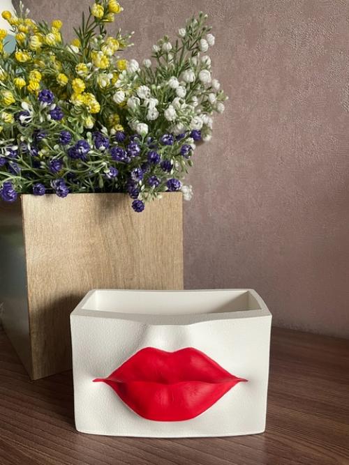 Кашпо Губытеперь с новыми макияжем губ.