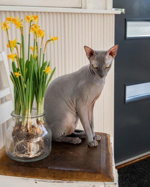 Уютный интерьер. С яркими деталями. 01