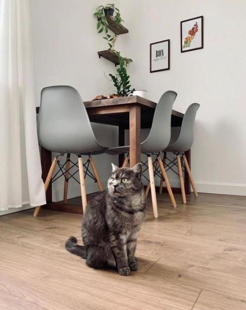 Интерьер кухни. В скандинавском стиле. 08