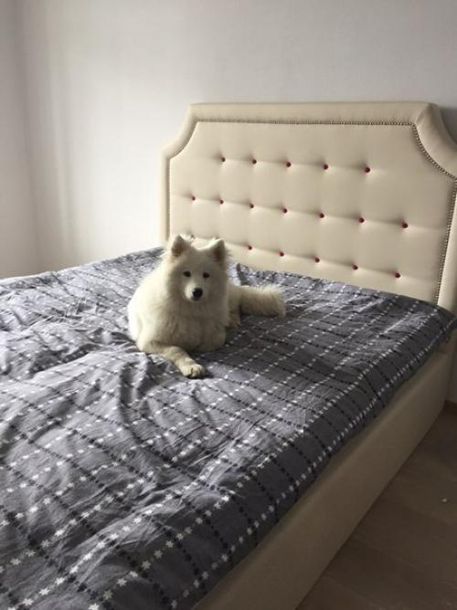 Как хорошо дома. 03