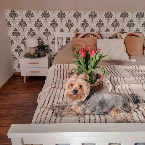 Небольшой уютный дом. 06