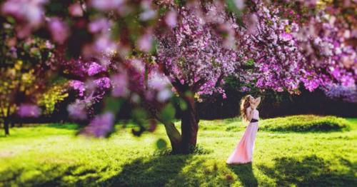 Самые крупные лесопарки и заповедники Москвы: 03