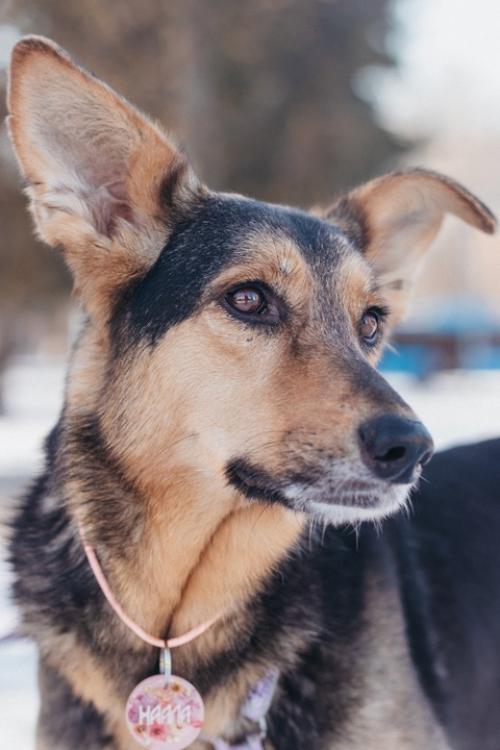 Москва и мо. 03 Москва и мо. 03