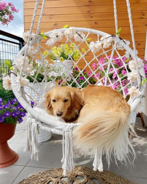 Цветы как часть интерьера в прекрасном доме Юстины. 06