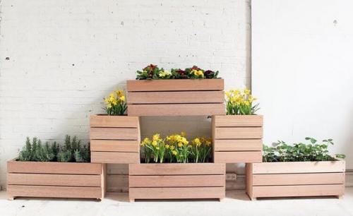 Весна, кажется, наступила окончательно. 05