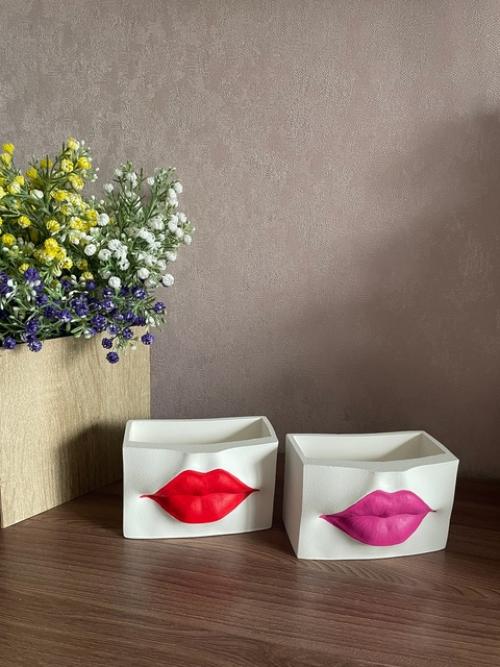 Кашпо Губытеперь с новыми макияжем губ. 02
