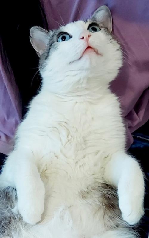 С чего начинается ваше утро? 05