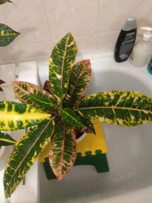 Лавстори.   А помнишь, как всё начиналось? 02