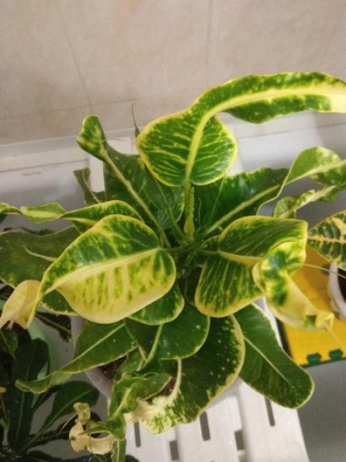 Лавстори.   А помнишь, как всё начиналось? 04