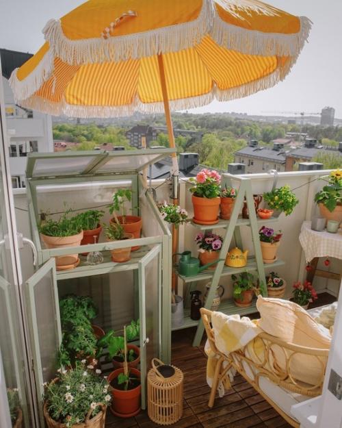 Небольшая, но очень уютная квартира с теплицей на открытом балконе. 01