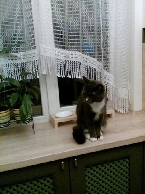 От нашей подписчицы: 01