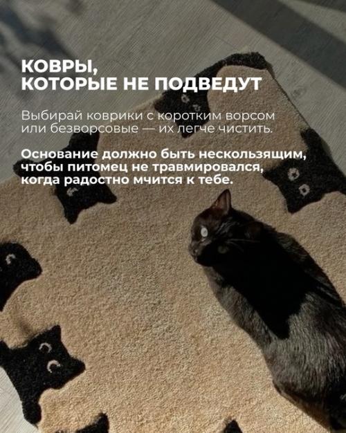 Ты продумал интерьер до мелочей: стильный диван, уютный ковер, модные растения. 03