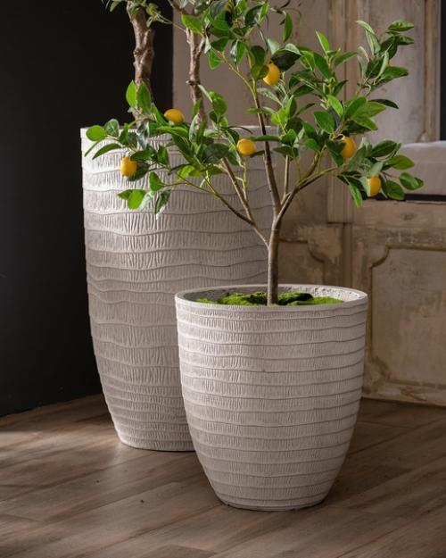 Коллекция Waves Grey Nobilis Marco для озеленения современных пространств предназначена. 04