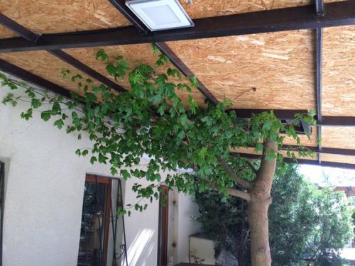 Ландшафтный дизайн в Доме Сновидений так же дело золотых Сашиных рук, как и все постройки и интерьеры комнат. 09