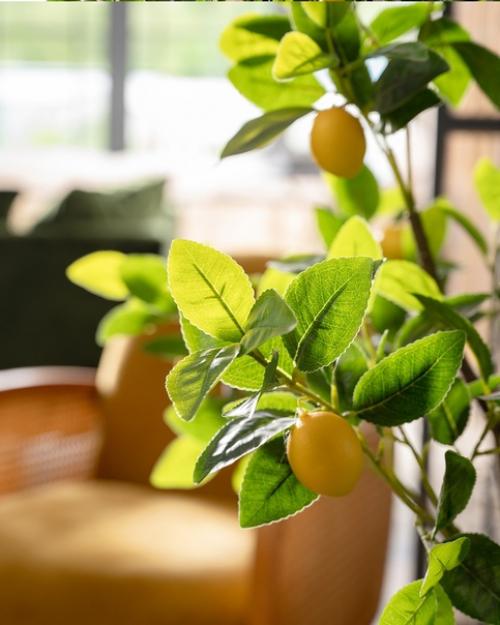 Коллекция Waves Grey Nobilis Marco для озеленения современных пространств предназначена. 03