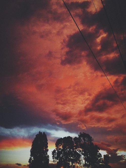 Закату наплевать, смотрят на него или нет. 02