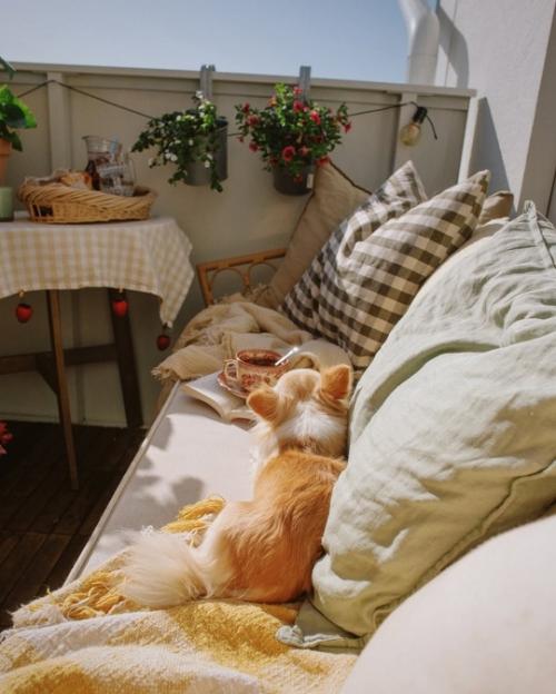 Небольшая, но очень уютная квартира с теплицей на открытом балконе. 04